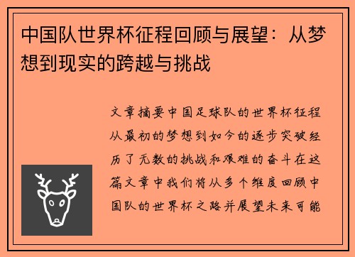 中国队世界杯征程回顾与展望：从梦想到现实的跨越与挑战